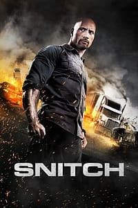 Snitch 2013